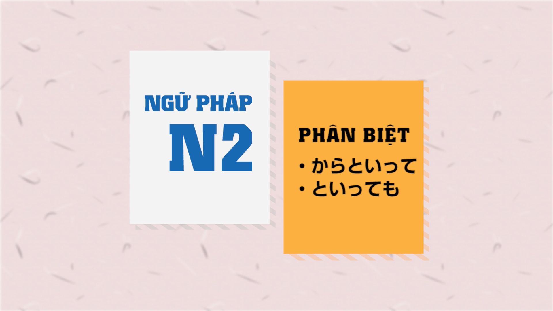 [Ngữ pháp N2] ～からといって・といっても