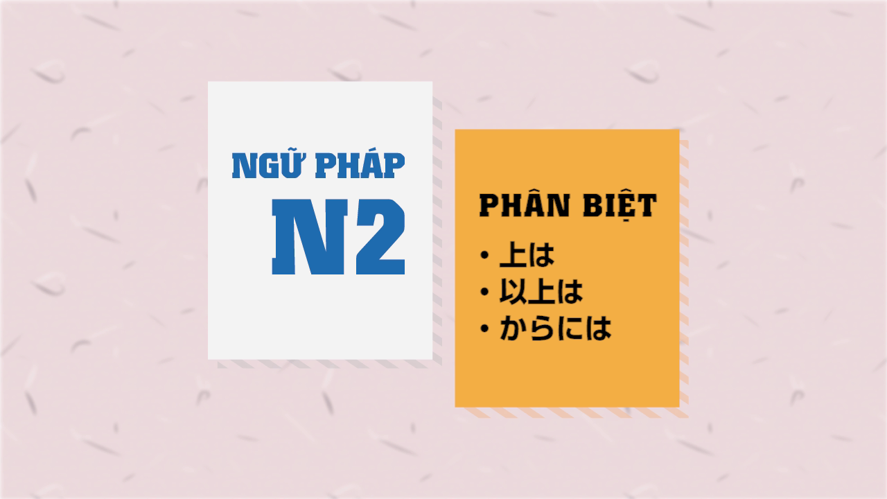 [Ngữ pháp N2] 上は・以上は・からには