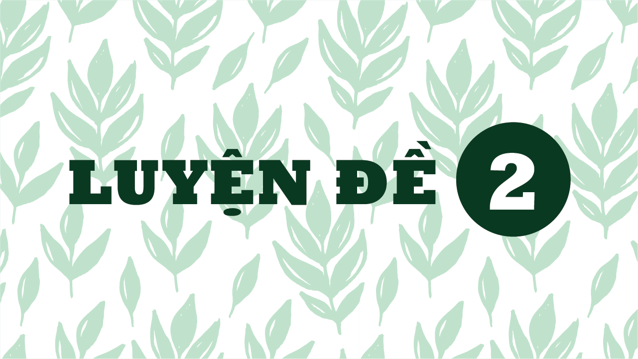 Đề 2