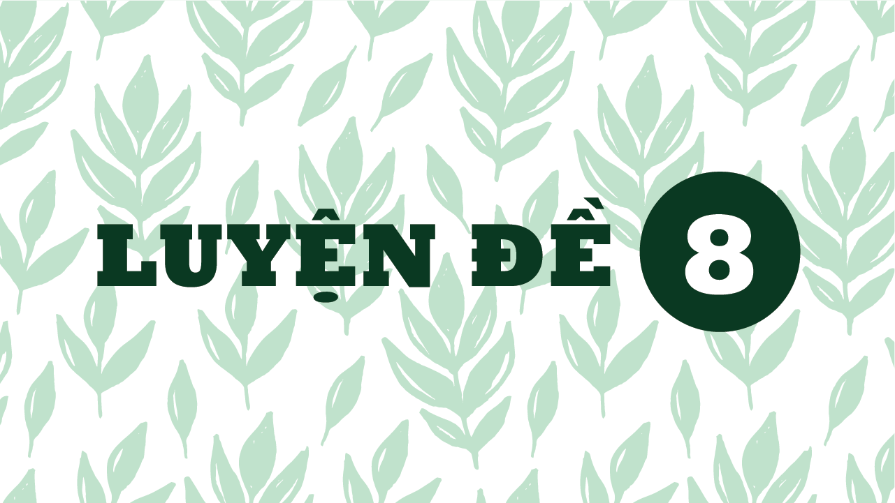 Đề 8
