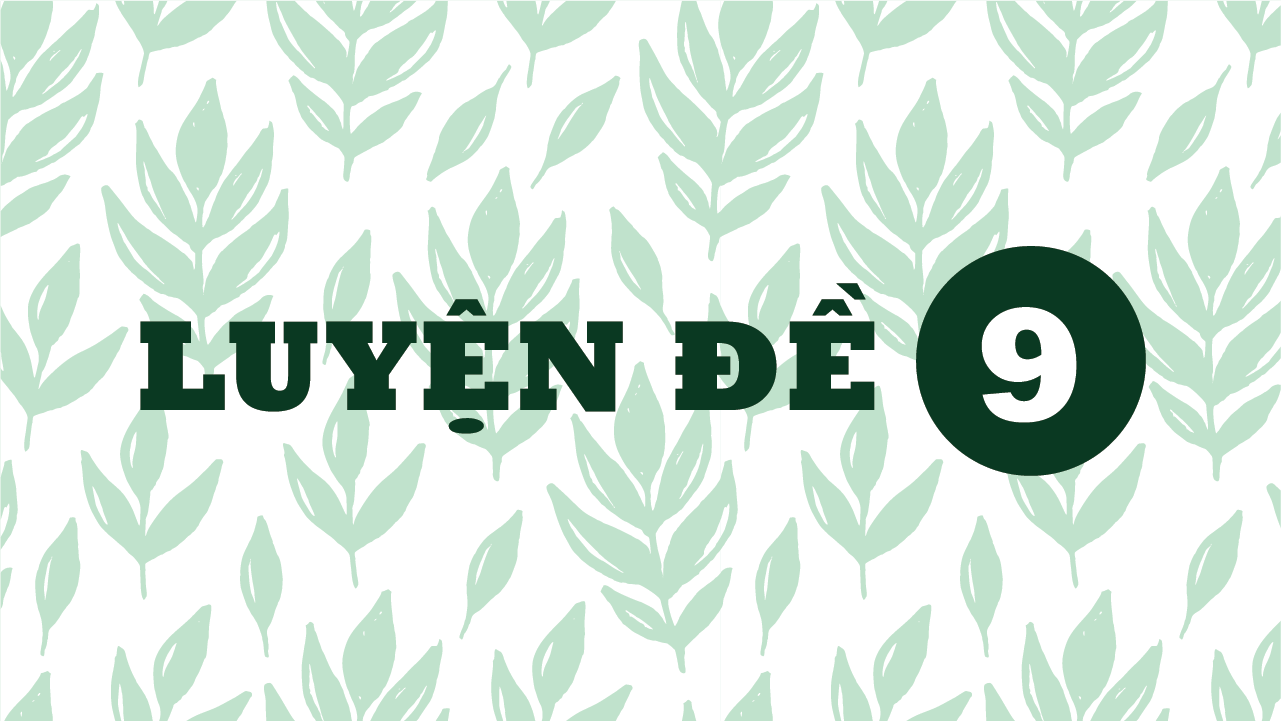 Đề 9