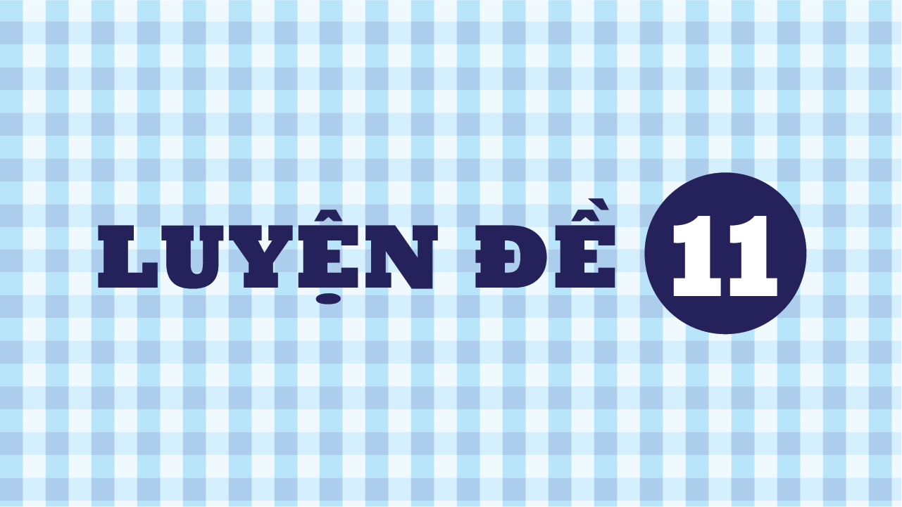 Đề 11