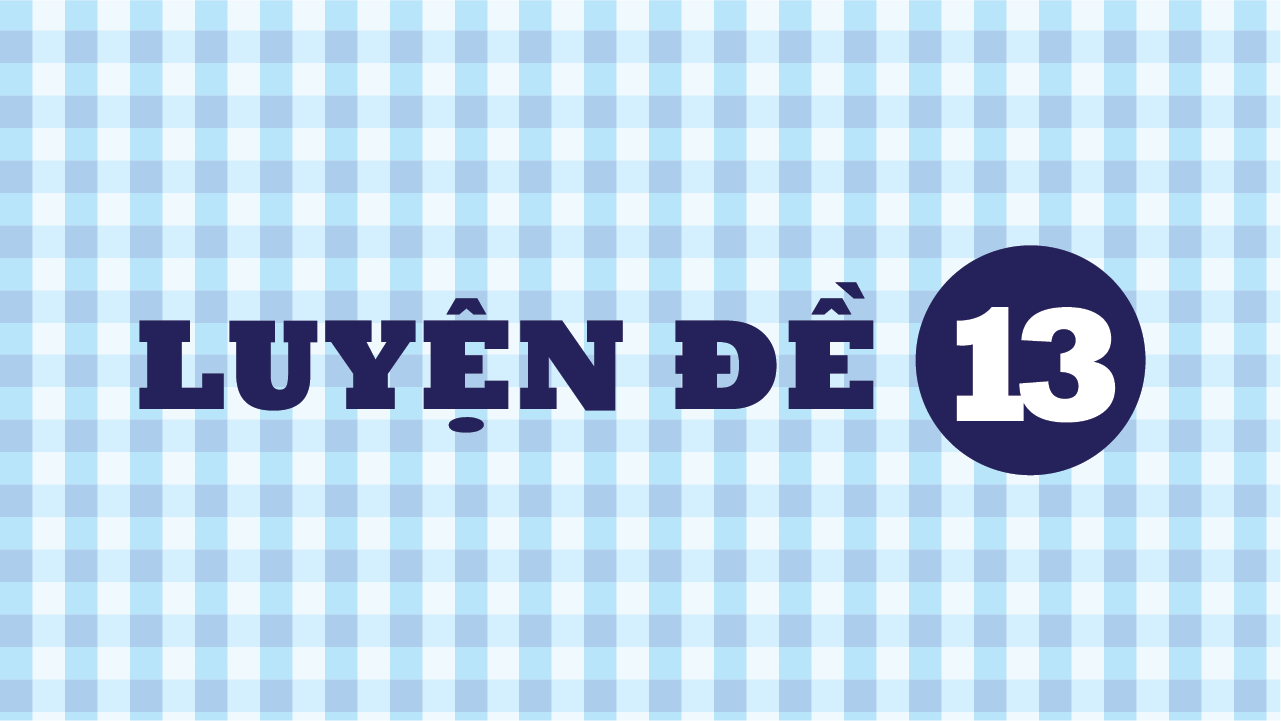 Đề 13